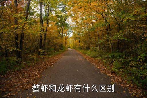 螯蝦和龍蝦有什么區(qū)別