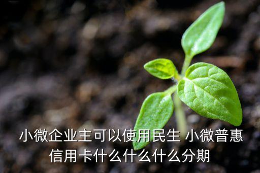  小微企業(yè)主可以使用民生 小微普惠信用卡什么什么什么分期