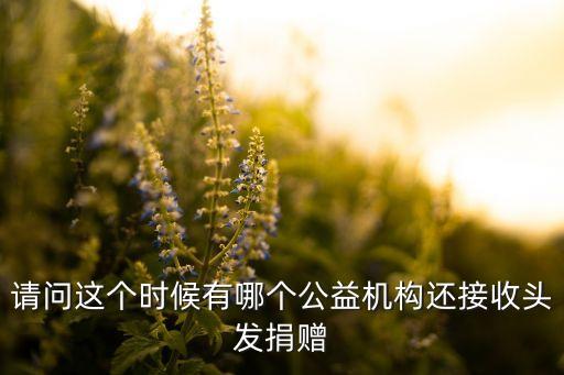 廣東省富迪慈善基金會(huì),富迪慈善基金會(huì)理事長(zhǎng)胡靜