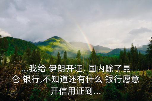 ...我給 伊朗開證, 國內除了昆侖 銀行,不知道還有什么 銀行愿意開信用證到...