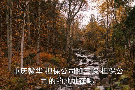  重慶翰華 擔保公司和三峽 擔保公司的的地址在哪