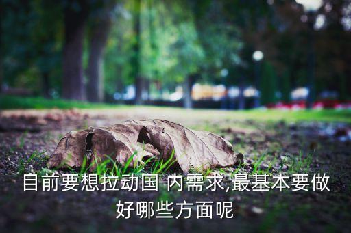 目前要想拉動國 內需求,最基本要做好哪些方面呢