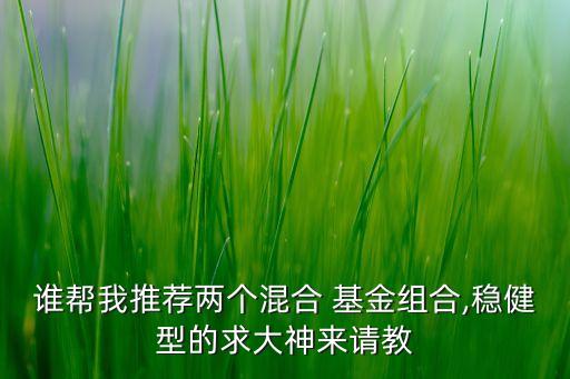 誰幫我推薦兩個混合 基金組合,穩(wěn)健型的求大神來請教