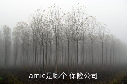 amic是哪個 保險公司