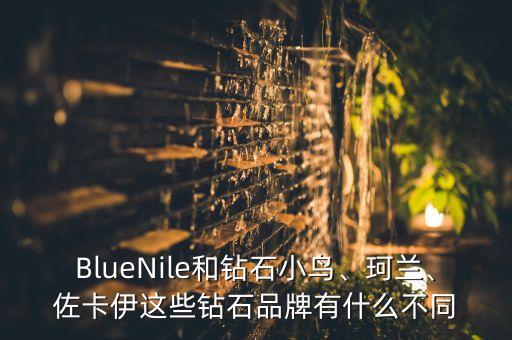 BlueNile和鉆石小鳥、珂蘭、佐卡伊這些鉆石品牌有什么不同