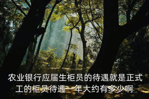  農(nóng)業(yè)銀行應(yīng)屆生柜員的待遇就是正式工的柜員待遇一年大約有多少啊