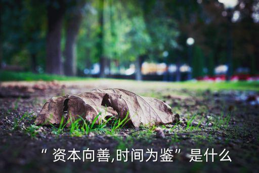 “ 資本向善,時(shí)間為鑒”是什么