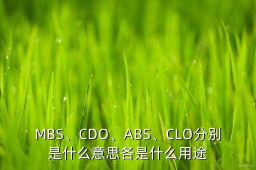 MBS、CDO、ABS、CLO分別是什么意思各是什么用途