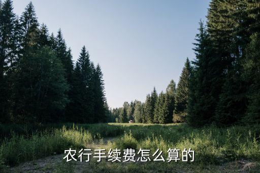 農(nóng)行手續(xù)費(fèi)怎么算的