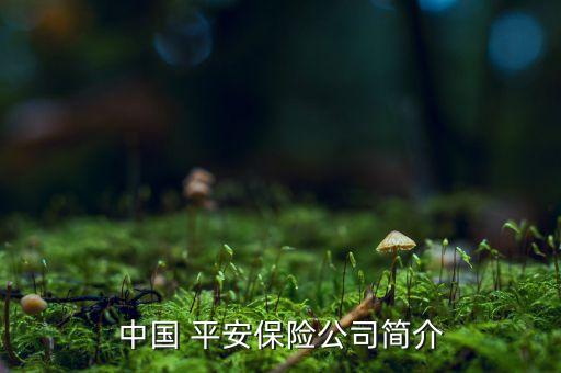 中國 平安保險(xiǎn)公司簡介