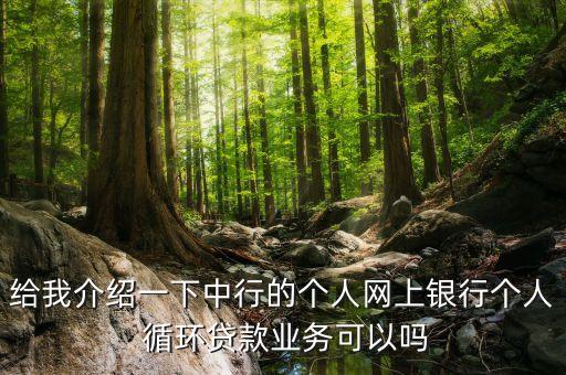 給我介紹一下中行的個人網(wǎng)上銀行個人 循環(huán)貸款業(yè)務可以嗎