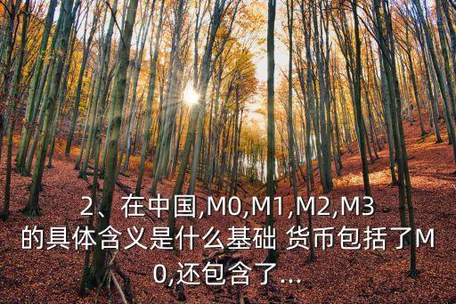 2、在中國,M0,M1,M2,M3的具體含義是什么基礎(chǔ) 貨幣包括了M0,還包含了...