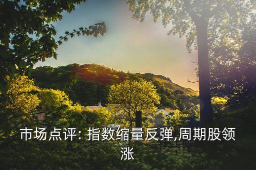 市場點(diǎn)評: 指數(shù)縮量反彈,周期股領(lǐng)漲