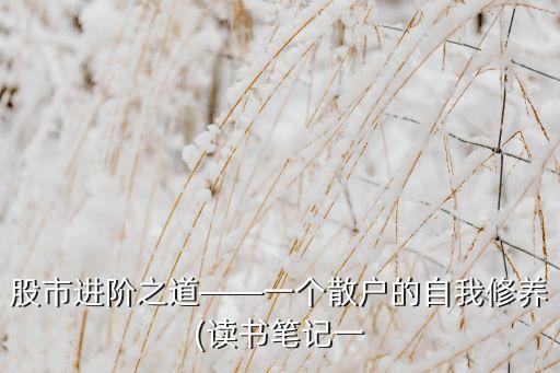 股市進(jìn)階之道——一個散戶的自我修養(yǎng)(讀書筆記一