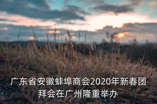 廣東省安徽蚌埠商會2020年新春團拜會在廣州隆重舉辦