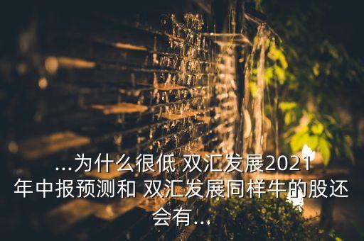 ...為什么很低 雙匯發(fā)展2021年中報(bào)預(yù)測(cè)和 雙匯發(fā)展同樣牛的股還會(huì)有...