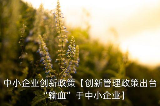 中小企業(yè)創(chuàng)新政策【創(chuàng)新管理政策出臺“輸血”于中小企業(yè)】