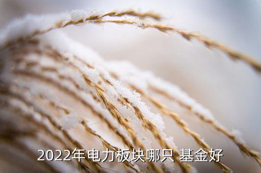 2022年電力板塊哪只 基金好