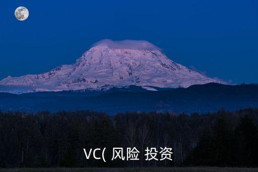 VC( 風(fēng)險 投資