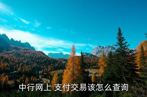 中行網(wǎng)上 支付交易該怎么查詢