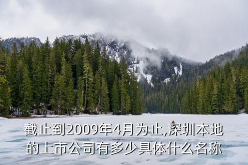 截止到2009年4月為止,深圳本地的上市公司有多少具體什么名稱