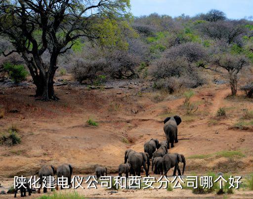 延長集團(tuán)陜化建,陜化建集團(tuán)有限公司招聘信息