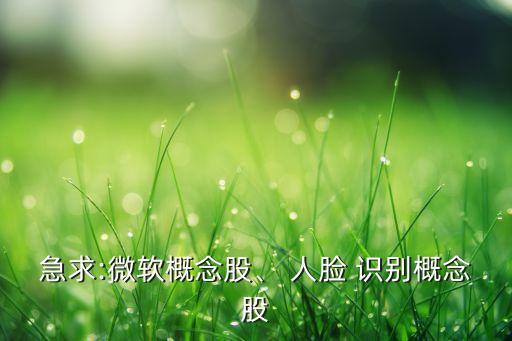 急求:微軟概念股、 人臉 識別概念股