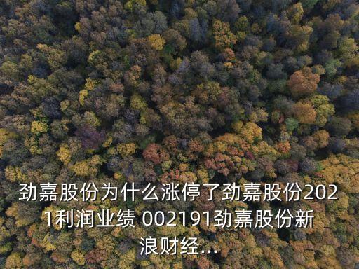 勁嘉股份為什么漲停了勁嘉股份2021利潤業(yè)績 002191勁嘉股份新浪財經(jīng)...