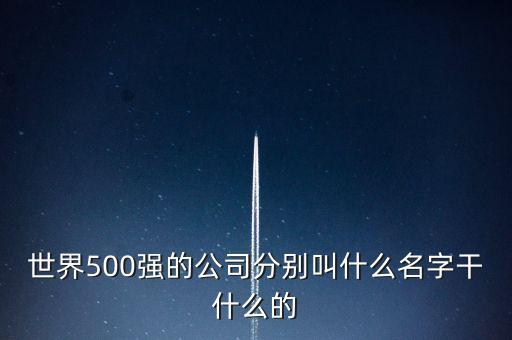 世界500強的公司分別叫什么名字干什么的