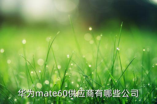 華為mate60供應商有哪些公司