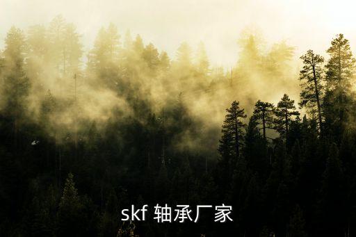 skf 軸承廠家