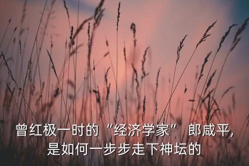 曾紅極一時的“經(jīng)濟學(xué)家” 郎咸平,是如何一步步走下神壇的