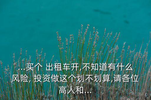 ...買個 出租車開,不知道有什么風險, 投資做這個劃不劃算,請各位高人和...