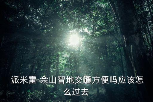  派米雷·佘山智地交通方便嗎應該怎么過去