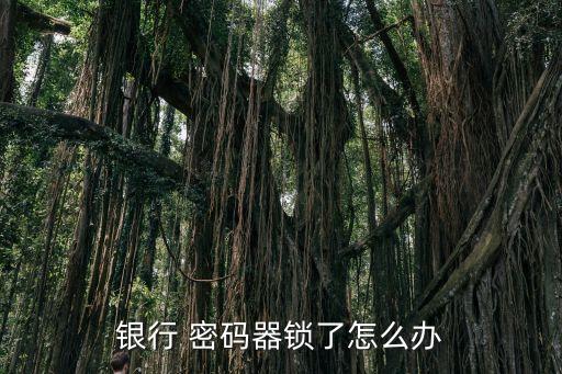 銀行卡智能保護(hù)密碼,如何保護(hù)銀行卡密碼