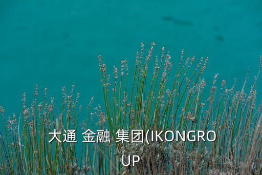  大通 金融 集團(IKONGROUP