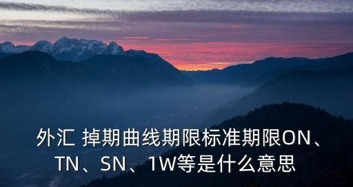  外匯 掉期曲線期限標(biāo)準(zhǔn)期限ON、TN、SN、1W等是什么意思