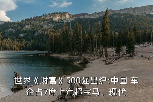 世界《財(cái)富》500強(qiáng)出爐:中國(guó) 車企占7席上汽超寶馬、現(xiàn)代