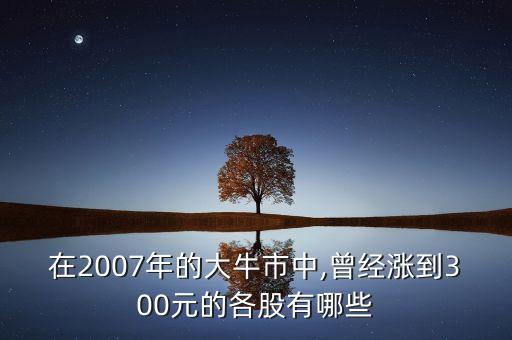 在2007年的大牛市中,曾經(jīng)漲到300元的各股有哪些