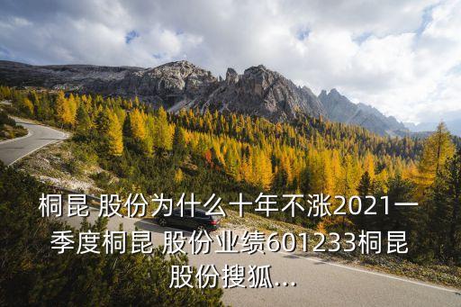 桐昆 股份為什么十年不漲2021一季度桐昆 股份業(yè)績(jī)601233桐昆 股份搜狐...