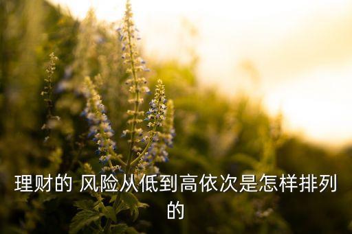 投資風(fēng)險排序,以下投資風(fēng)險排序正確的是