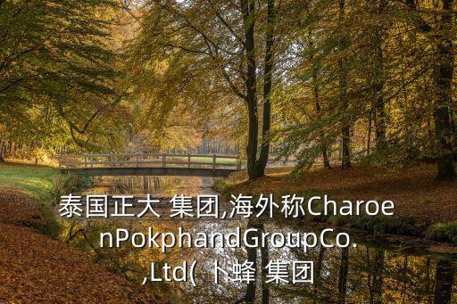 泰國(guó)正大 集團(tuán),海外稱CharoenPokphandGroupCo.,Ltd( 卜蜂 集團(tuán)