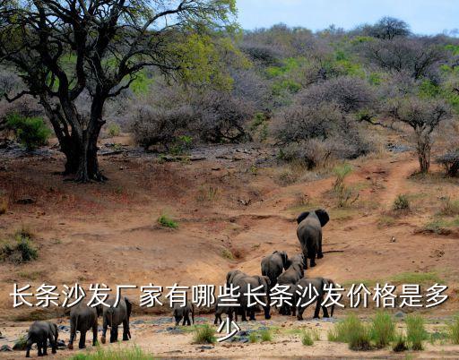 長條沙發(fā)廠家有哪些長條沙發(fā)價(jià)格是多少