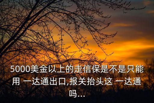 5000美金以上的走信保是不是只能用 一達(dá)通出口,報關(guān)抬頭這 一達(dá)通嗎...