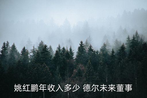 姚紅鵬年收入多少 德爾未來(lái)董事