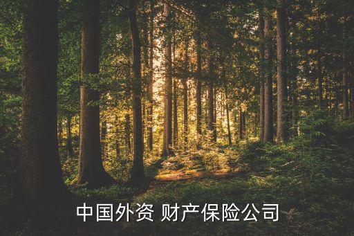 中國外資 財產保險公司