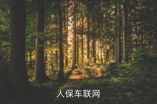 中國(guó)人保車(chē)聯(lián)網(wǎng)