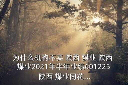 為什么機構(gòu)不買 陜西 煤業(yè) 陜西 煤業(yè)2021年半年業(yè)績601225 陜西 煤業(yè)同花...