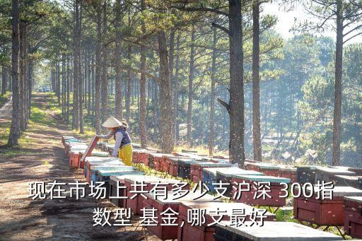 現(xiàn)在市場(chǎng)上共有多少支滬深 300指數(shù)型 基金,哪支最好