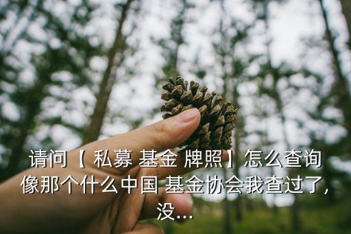 請問【 私募 基金 牌照】怎么查詢像那個什么中國 基金協(xié)會我查過了,沒...